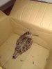 IMG_20201202_032033.jpg