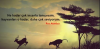 1609264762168.png