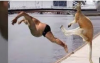 1610041764862.png