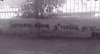 1611096552757.png
