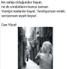 1688468203374.png