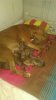 IMG-20191017-WA0014.jpg