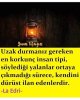 CF1A1197-5F9D-4B86-814D-C519A01AE8ED.jpeg