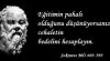 1BB913D1-5CD7-4CC5-829A-4AE695FADFD1.jpeg