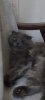 Screenshot_20241004_154551_Gallery.jpg