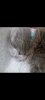 Screenshot_20241007_080504_Gallery.jpg