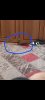 Screenshot_20241013_134058_Gallery.jpg