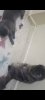 Screenshot_20241120_232800_Video Player.jpg