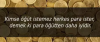 1738920597091.png