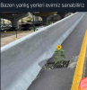 1740830996023.png