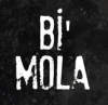 1741776338729.png