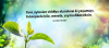 1742036034401.png