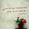 1743067350858.png