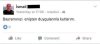 images (6).jpeg