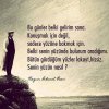 images (29).jpeg