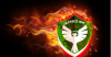 Screenshot_20250419-194147_Chrome~2.png
