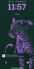 IMG_0436.jpeg
