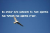1746705821858.png