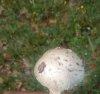 IMG_20250511_155623.jpg