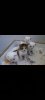 Screenshot_2025-05-16-03-58-41-408_com.miui.gallery.jpg