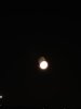IMG_1323.jpeg