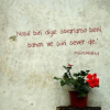 1750064766631.png