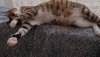 IMG-20250707-WA0004.jpeg