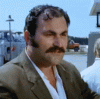 sakarsakir-replik.gif