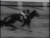 giphy (2).gif