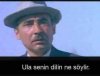 images (16).jpeg