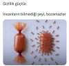 1754575947565.png