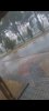 Screenshot_20250808-181833_Gallery.jpg