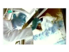 images (8)-photoaidcom-invert.jpeg.png