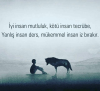 1755250059815.png