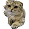 1755921181862.png