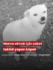 1756204459574.png