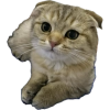 1757002047213.png