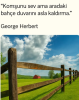 1757065264763.png