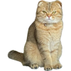 1757104919292.png