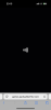 IMG_8377.png