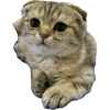 1757162186054.png