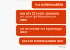 IMG_7975.jpeg