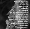IMG_4141.jpeg