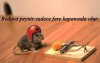 images (61).jpeg