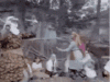 1000035664.gif
