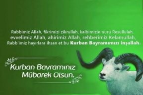 yannız